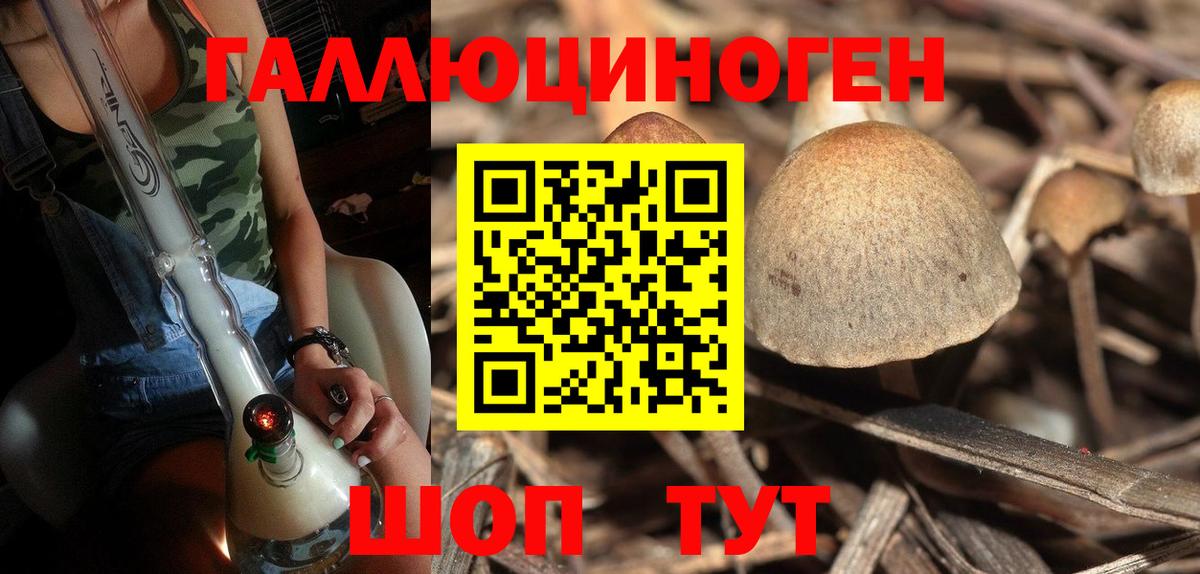 Галлюциногенные грибы MAGIC MUSHROOMS Обнинск